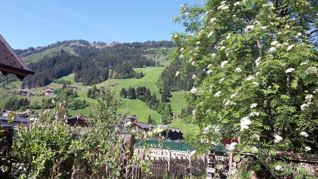 Ferienwohnung Langwallner غروسارل الغرفة الصورة